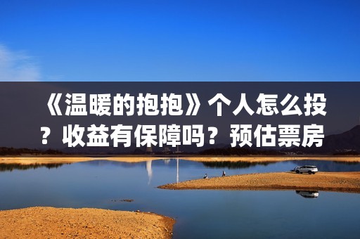 《温暖的抱抱》个人怎么投？收益有保障吗？预估票房多少？(温暖的抱抱为什么禁了)