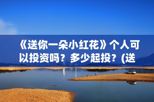 《送你一朵小红花》个人可以投资吗？多少起投？(送你一朵小红花免费观看完整版)