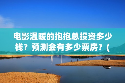 电影温暖的抱抱总投资多少钱？预测会有多少票房？(电影温暖的抱抱剧情介绍)