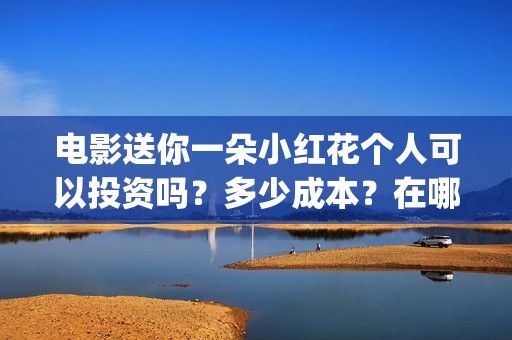 电影送你一朵小红花个人可以投资吗？多少成本？在哪投？(电影送你一朵小花)