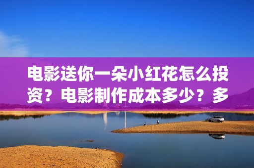电影送你一朵小红花怎么投资？电影制作成本多少？多少起投？(电影送你一朵小花)