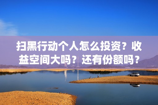 扫黑行动个人怎么投资？收益空间大吗？还有份额吗？(扫黑行动主要内容)
