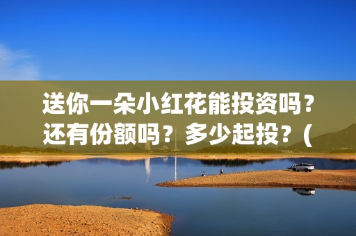 送你一朵小红花能投资吗？还有份额吗？多少起投？(送你一朵小红花电影)