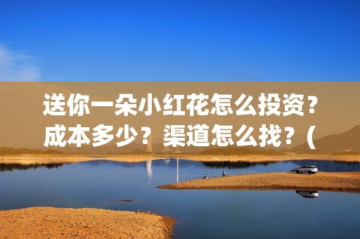 送你一朵小红花怎么投资？成本多少？渠道怎么找？(送你一朵小红花电影剧情介绍)