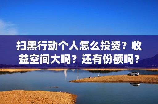 扫黑行动个人怎么投资？收益空间大吗？还有份额吗？(扫黑行动简介)