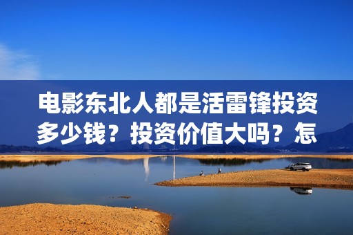 电影东北人都是活雷锋投资多少钱？投资价值大吗？怎么投？(都说东北人)