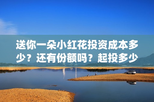 送你一朵小红花投资成本多少？还有份额吗？起投多少？(送你一朵小红花歌词)