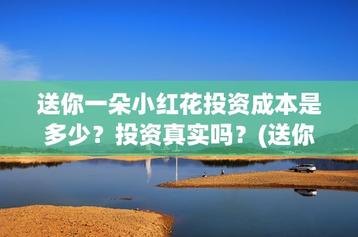 送你一朵小红花投资成本是多少？投资真实吗？(送你一朵小红花电影免费观看)
