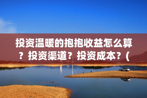 投资温暖的抱抱收益怎么算？投资渠道？投资成本？(温暖的抱抱投资商)