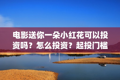 电影送你一朵小红花可以投资吗？怎么投资？起投门槛多少(电影送你一朵小红花完整版免费观看)