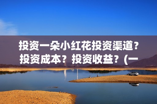 投资一朵小红花投资渠道？投资成本？投资收益？(一朵小红花公司)