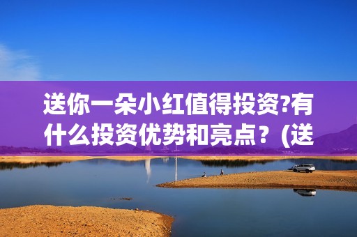 送你一朵小红值得投资?有什么投资优势和亮点？(送你一朵小红内容)