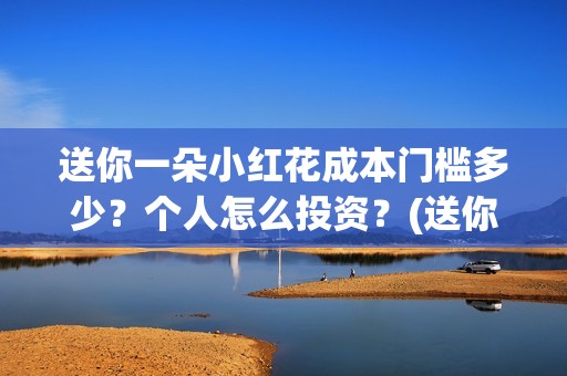 送你一朵小红花成本门槛多少？个人怎么投资？(送你一朵小红花结局)