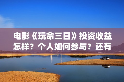 电影《玩命三日》投资收益怎样？个人如何参与？还有份额吗？(在线播放玩命三日)