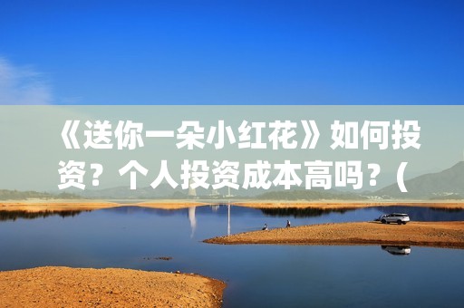 《送你一朵小红花》如何投资？个人投资成本高吗？(送你一朵小红花演员表)