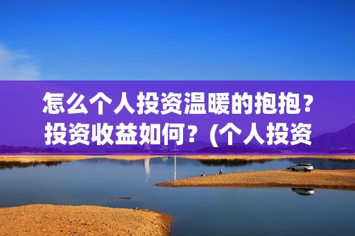 怎么个人投资温暖的抱抱？投资收益如何？(个人投资者怎么投资创业公司)