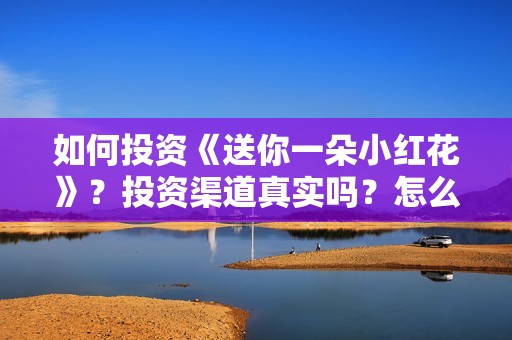 如何投资《送你一朵小红花》？投资渠道真实吗？怎么个人投资？