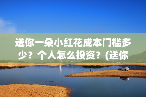 送你一朵小红花成本门槛多少？个人怎么投资？(送你一朵小红花简谱)