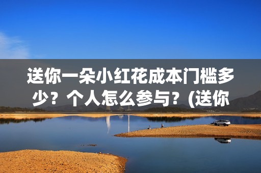 送你一朵小红花成本门槛多少？个人怎么参与？(送你一朵小红花简谱)