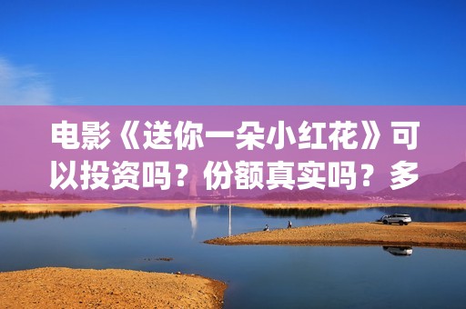 电影《送你一朵小红花》可以投资吗?份额真实吗?多少钱一份?(电影《送你一朵小红花》) 电影《送你一朵小红花》可以投资吗?份额真实吗?多少钱一份?(电影《送你一朵小红花》)