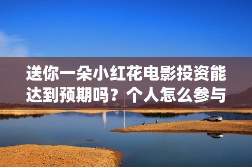 送你一朵小红花电影投资能达到预期吗？个人怎么参与(送你一朵小红花电影)