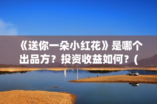 《送你一朵小红花》是哪个出品方？投资收益如何？(送你一朵小红花演员表)