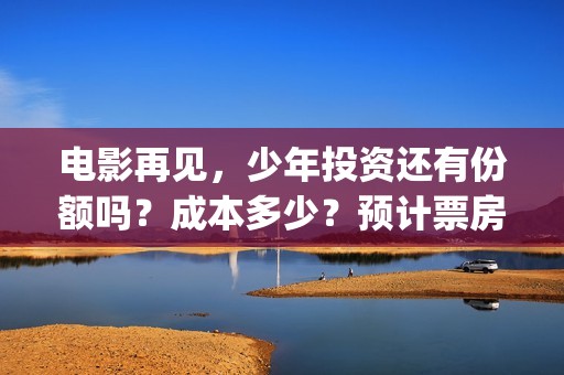 电影再见，少年投资还有份额吗？成本多少？预计票房？(电影再见少年票房)