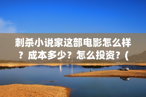 刺杀小说家这部电影怎么样？成本多少？怎么投资？(刺杀小说家说的是)