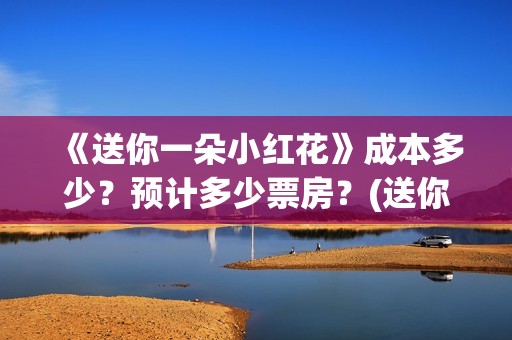 《送你一朵小红花》成本多少？预计多少票房？(送你一朵小红花电影免费观看)
