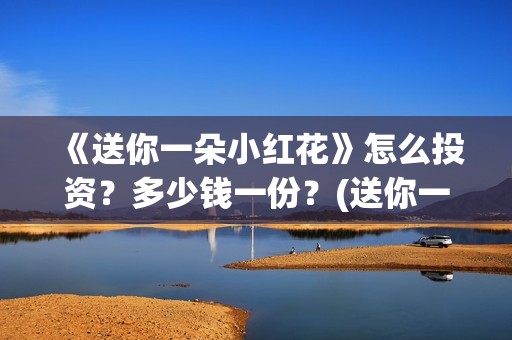 《送你一朵小红花》怎么投资？多少钱一份？(送你一朵小红花免费观看完整版)