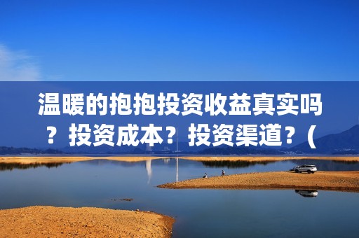 温暖的抱抱投资收益真实吗？投资成本？投资渠道？(温暖的抱抱 投资成本)