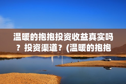 温暖的抱抱投资收益真实吗？投资渠道？(温暖的抱抱投资金额)