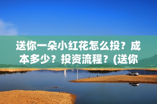 送你一朵小红花怎么投？成本多少？投资流程？(送你一朵小红花电影)