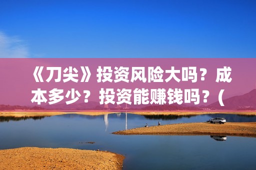 《刀尖》投资风险大吗？成本多少？投资能赚钱吗？(刀尖主演)