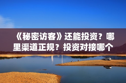 《秘密访客》还能投资？哪里渠道正规？投资对接哪个出品方？(秘密访客讲的什么鬼)