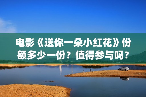 电影《送你一朵小红花》份额多少一份？值得参与吗？(电影送你一朵小花)