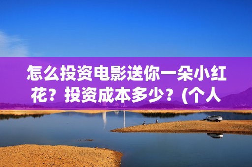 怎么投资电影送你一朵小红花？投资成本多少？(个人怎么投资电影渠道)