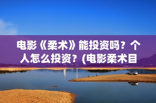 电影《柔术》能投资吗？个人怎么投资？(电影柔术目前票房)