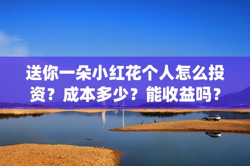送你一朵小红花个人怎么投资？成本多少？能收益吗？(送你一朵小红花演员表)