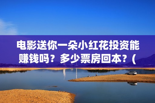 电影送你一朵小红花投资能赚钱吗？多少票房回本？(电影送你一朵小红花的英文)