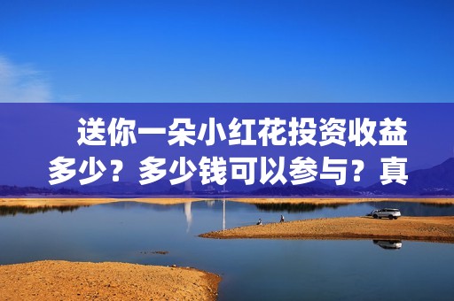 　送你一朵小红花投资收益多少？多少钱可以参与？真实成本多少？(送你一朵小红花电影免费观看)