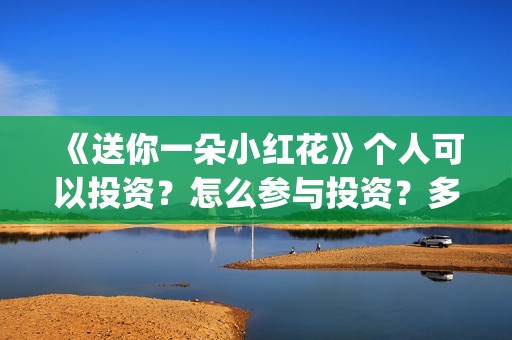 《送你一朵小红花》个人可以投资？怎么参与投资？多少起投？(送你一朵小红花原唱)