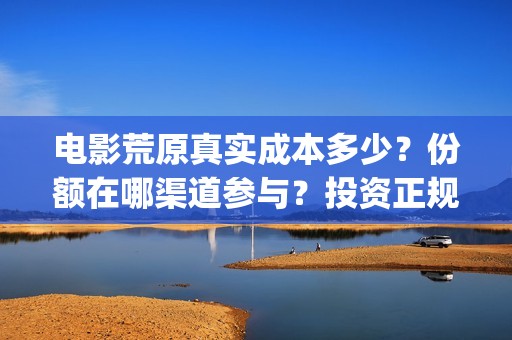电影荒原真实成本多少？份额在哪渠道参与？投资正规吗？(荒原电影是哪个公司出品的)