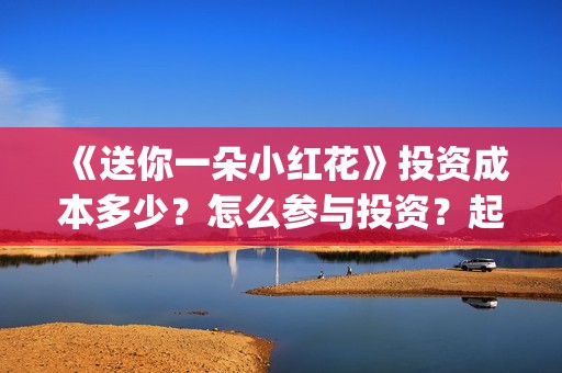 《送你一朵小红花》投资成本多少？怎么参与投资？起投多少？(送你一朵小红花电影)