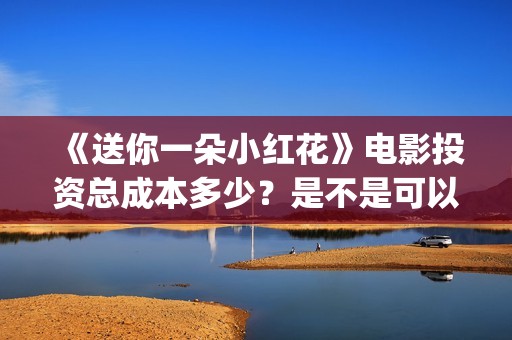 《送你一朵小红花》电影投资总成本多少？是不是可以投资？(送你一朵小红花免费观看完整版)