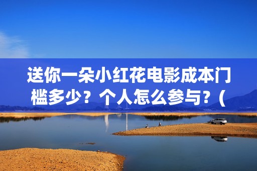 送你一朵小红花电影成本门槛多少？个人怎么参与？(送你一朵小红花结局)