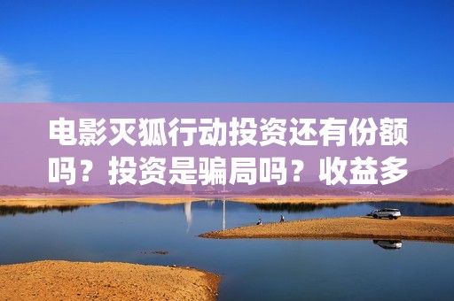电影灭狐行动投资还有份额吗？投资是骗局吗？收益多少？(灭狐行动主演)