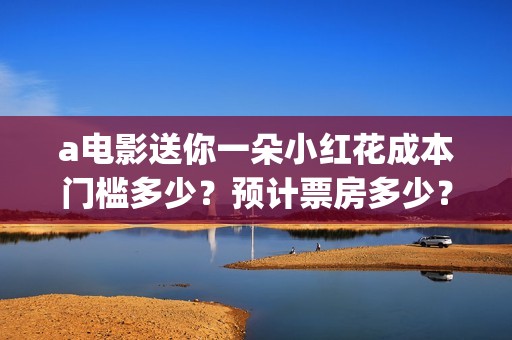 a电影送你一朵小红花成本门槛多少？预计票房多少？(送你一朵花完整版)