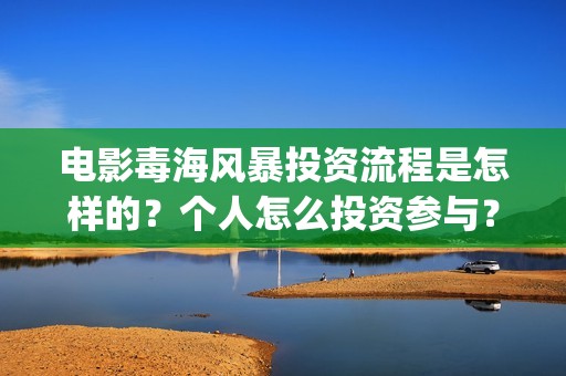 电影毒海风暴投资流程是怎样的？个人怎么投资参与？(毒海风暴上映时间)