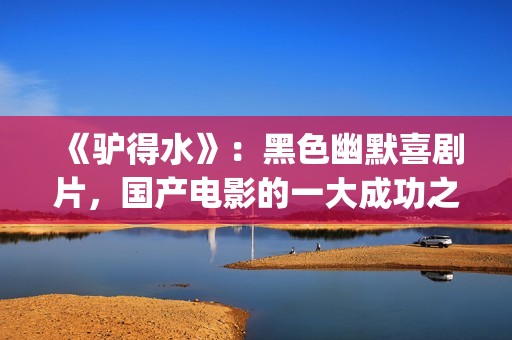 《驴得水》：黑色幽默喜剧片，国产电影的一大成功之作！(驴得水背后深层含义)